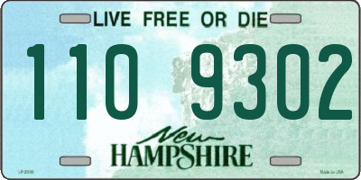 NH license plate 1109302