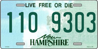 NH license plate 1109303