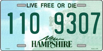 NH license plate 1109307