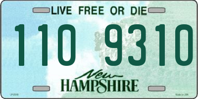 NH license plate 1109310