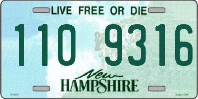 NH license plate 1109316