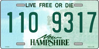 NH license plate 1109317