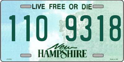 NH license plate 1109318