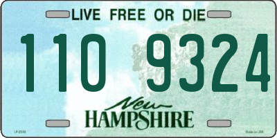 NH license plate 1109324