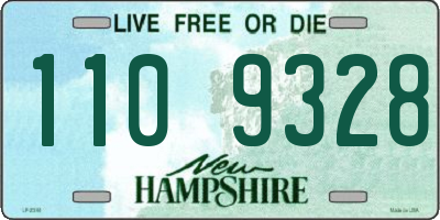 NH license plate 1109328