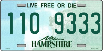 NH license plate 1109333