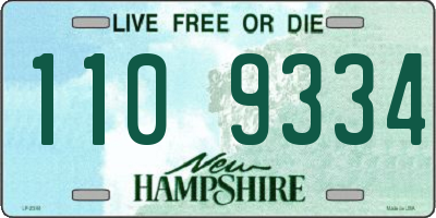 NH license plate 1109334