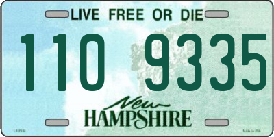 NH license plate 1109335