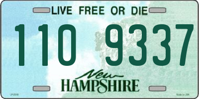 NH license plate 1109337