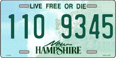 NH license plate 1109345