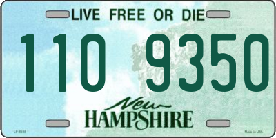 NH license plate 1109350