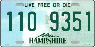 NH license plate 1109351