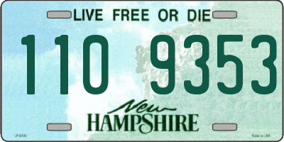 NH license plate 1109353
