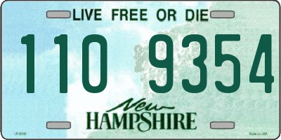 NH license plate 1109354