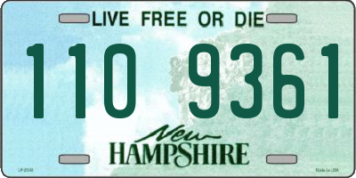 NH license plate 1109361