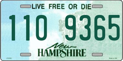 NH license plate 1109365