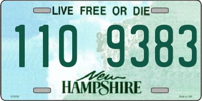 NH license plate 1109383