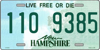 NH license plate 1109385