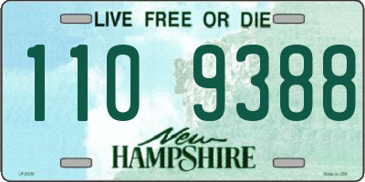 NH license plate 1109388