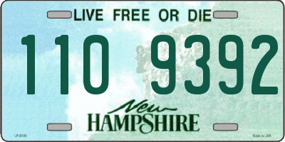 NH license plate 1109392