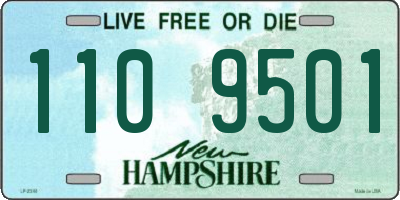 NH license plate 1109501