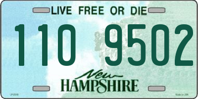 NH license plate 1109502