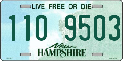 NH license plate 1109503