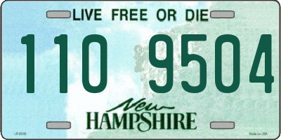 NH license plate 1109504