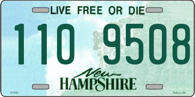 NH license plate 1109508