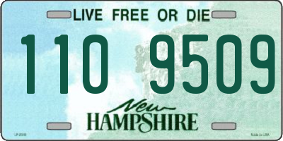 NH license plate 1109509