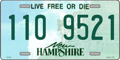 NH license plate 1109521
