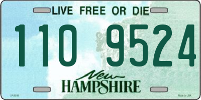NH license plate 1109524