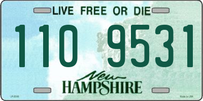 NH license plate 1109531