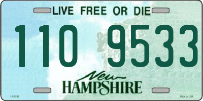 NH license plate 1109533