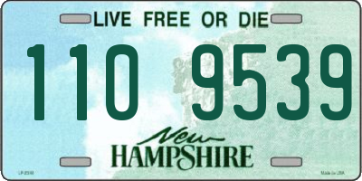 NH license plate 1109539