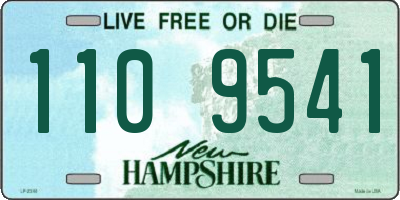 NH license plate 1109541