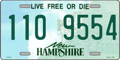 NH license plate 1109554