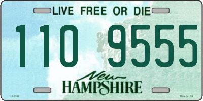 NH license plate 1109555