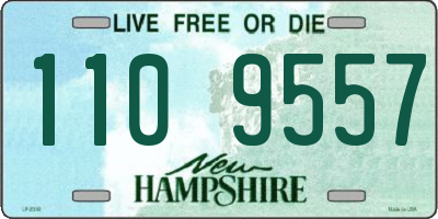 NH license plate 1109557