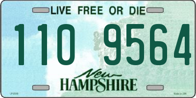 NH license plate 1109564