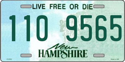 NH license plate 1109565