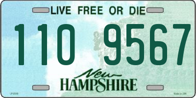 NH license plate 1109567