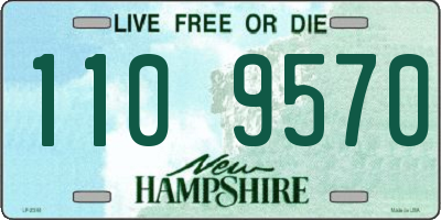 NH license plate 1109570