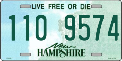 NH license plate 1109574