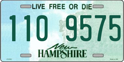 NH license plate 1109575