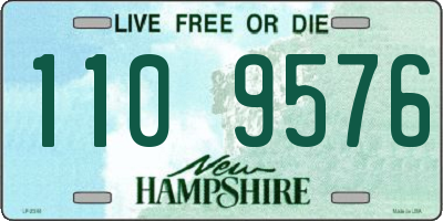 NH license plate 1109576