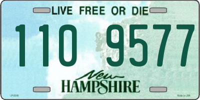 NH license plate 1109577
