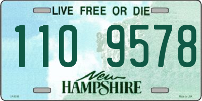 NH license plate 1109578
