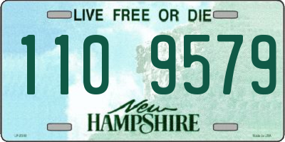NH license plate 1109579