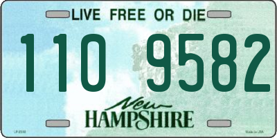 NH license plate 1109582